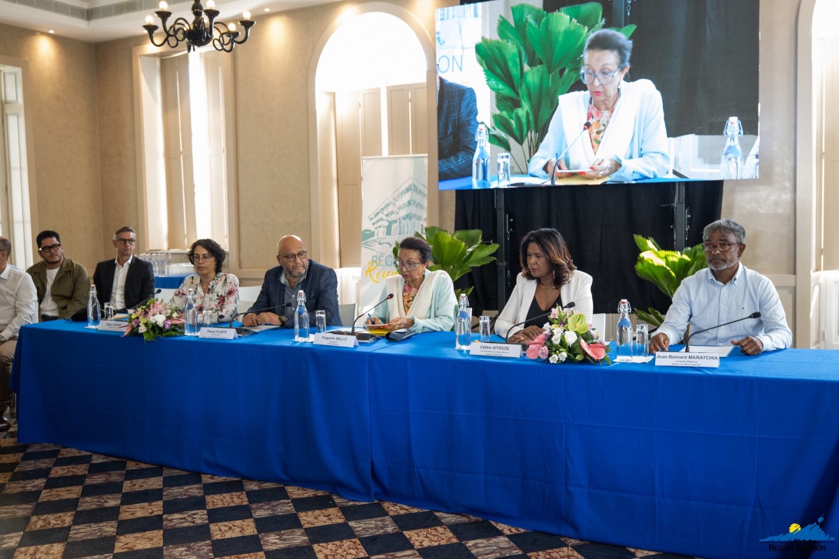 Huguette Bello et plusieurs autres personnes en réunion