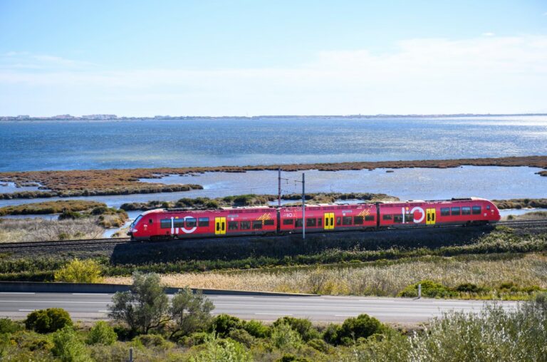 Un train devant la mer