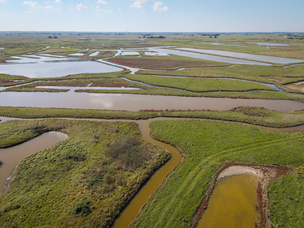 Le Marais Du Bout De Sac-crédit JS-Région PDLL