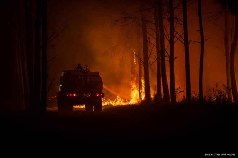 Les forêts de Nouvelle-Aquitaine ont été ravagées par les flammes. Photo SDIS 33.